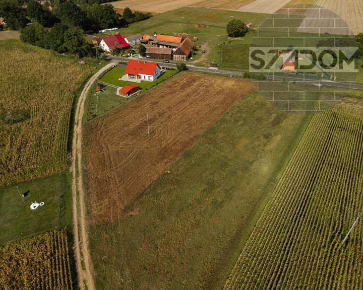 Działka Sprzedaż Świniary