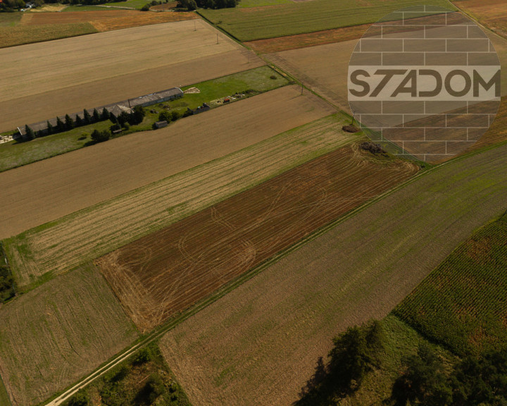 Działka Sprzedaż Świniary