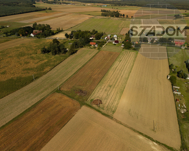 Działka Sprzedaż Świniary